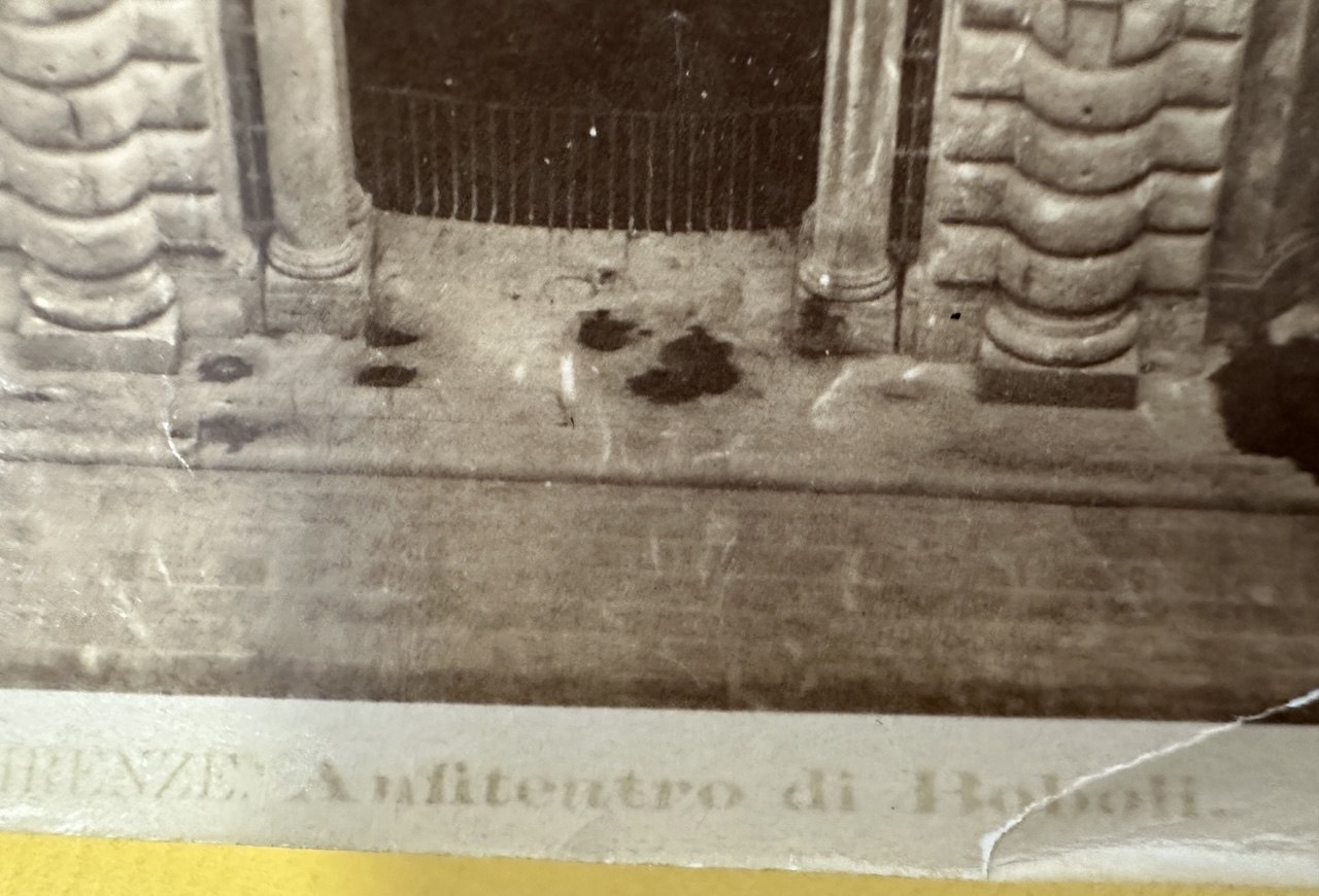 Légende imprimée : FIRENZE. Anfiteatro di Boboli.